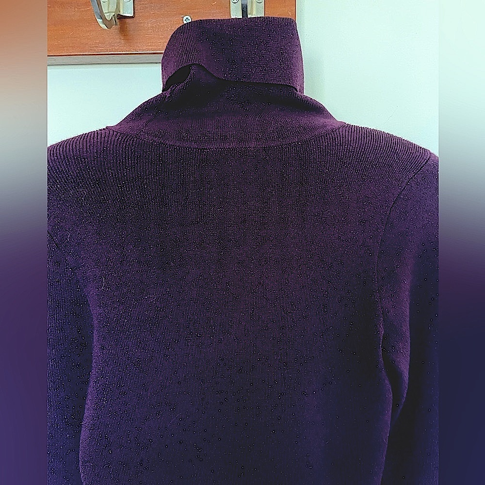 Express Metallic Turtleneck Sweater Small Purple Plum